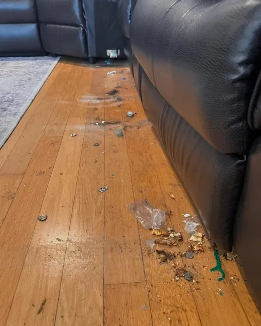 A living room floor before cleaning