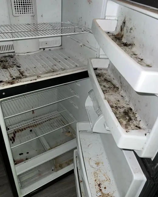 A refrigerator before cleaning