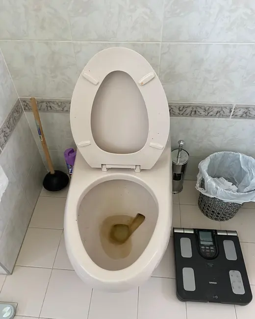 A toilet before cleaning
